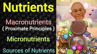 Comprehensive Guide to Nutrition and Public Health