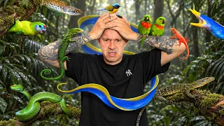 MA ROUTINE AVEC 150 ANIMAUX ET UNE TRÈS GROSSE DÉCEPTION 😢 - TOOPET