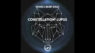  sooks u0026 secret souls wolf