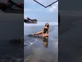 Olivia Culpo - BTS SI Swimsuit 2020