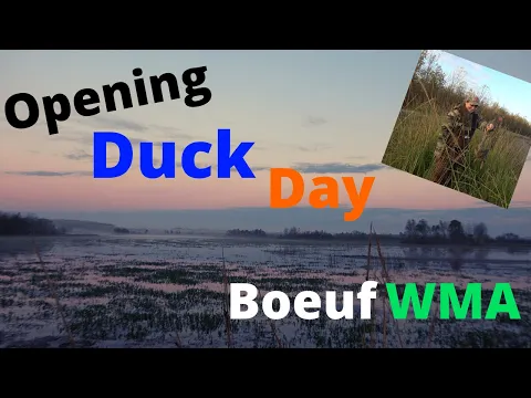 Download MP3 Boeuf WMA Duck Hunt