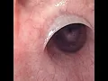 Mascara - Sub Urban