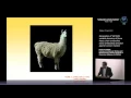 Download Lagu R. Komel - Generation of  VH/VHH variable domains of llama heavy chain antibodies..