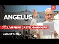 LIVE Pope Leo XIV s Angelus Prayer from Castel Gandolfo August 15 2026