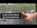 Download Lagu MENYUSURI JEJAK ARUNG PALAKKA DI GOA MIMPI BUKIT CEMPALAGI I BoneWanuakku