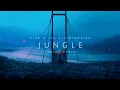 Alok, The Chainsmokers & Mae Stephens - Jungle (Jamers Remix)