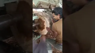 Https Www Instagram Com Reel DODyv2RibfT Igsh AjY3bWduZmI5c3h2 