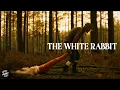 Download Lagu THE WHITE RABBIT - Every Woman's Nightmare | Horror-Thriller Short Film | Red Tower