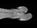 Martin Kohlstedt - TAR