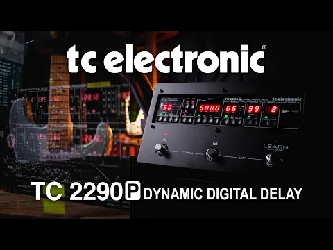 TC Electronic 2290 P Digital Delay | Delicious Audio
