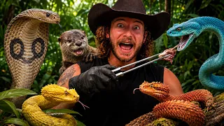 Feeding my VENOMOUS SNAKES! 