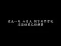 天下有情人 周华健 & 齐豫 (歌词版)