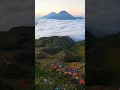 GN PRAU NEGERI DI ATAS AWAN ** JAWA TENGAH