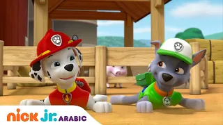 دوريات المخلاب مغامرات الجراء والمزارعة يومي Nick Jr Arabia 