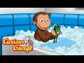 Download Lagu George Loves Bubble Baths 🐵 Curious George 🐵 Kids Cartoon 🐵 Kids Movies