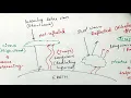 High clouds - How PYQ solved ambiguity Prelims through sense and simplicity