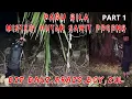 PADU GILA ((MISTERI HUTAN SAWIT POCONG)) PARANORMAL DZP DAUZ,ARAZS,BOY,ZUL PART 1/3