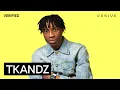 Lagu TKandz \