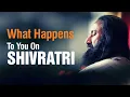 Lagu What Happens To You On Shivratri | Maha Shivratri Talk by Gurudev Sri Sri Ravi Shankar