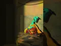Download Lagu Safe haven Death - Poppy Playtime animation #shorts