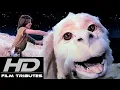 Download Lagu The Neverending Story • Theme Song • Limahl