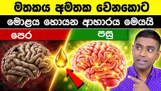 වයස 40න් පසු මතකය අඩුවෙන්නේ ඇයි? මොළයේ දෙවැනි ඉන්ධනය ගැන ඇත්ත