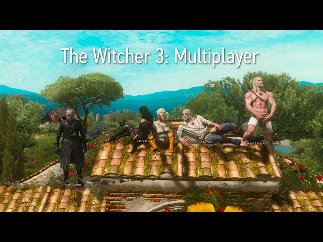 The Witcher 3: Multiplayer