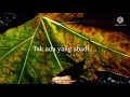 Download Lagu NOAH - Tak ada yang abadi. LIVE ( lirik )