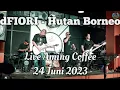 Download Lagu dFIORI - Hutan Borneo • Live Aming Coffee 24 Juni 2023