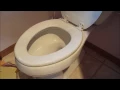 DIY 101 How To Remove Replace a Toilet Seat