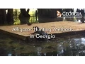 Alligator Hunting Methods in Georgia