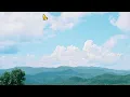 The Brook & The Bluff - Bluebeard (Official Audio)