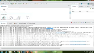 Mule flow reference sample application dataweave
