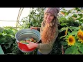 Download Lagu You’ll Never Buy Tomato Soup Again After This Recipe