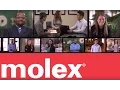 Molex - Grow With Us