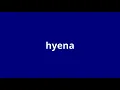 what is the meaning of hyena