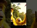 Download Lagu Amazon river #yeti #funny #youtubeshorts #ia #amazing