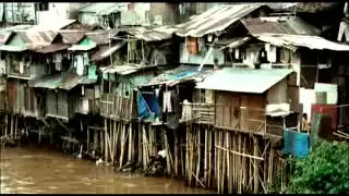 steven u0026 coconut treez serenada