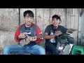 Download Lagu Viral !! KUATNO AKU - PENGAMEN JALANAN (cover)