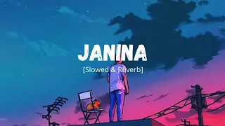 janina lofi version slowed u0026 reverb challenge nachiketa chakraborty use headphones 