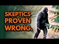 Download Lagu 12 Reasons Bigfoot Definitely Exists—Proof Skeptics Are Wrong