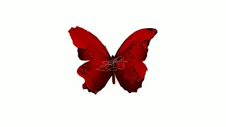 Instrumental Before You Exit Silence Strings Orchestra Arrange 