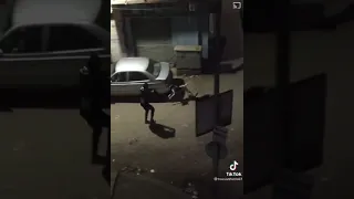 هجوم كلاب الشوارع فى مصر دندنها