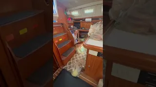 Stocking up for the BAHAMAS 🇧🇸#shorts #sailingbyefelicia #boatlifestyle