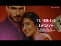 Download Lagu Tumse Dil Lagaya - Baazi Ishq Ki ( #puneetchoukesy #khushburajendra )