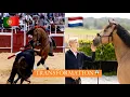 How my ex BULLFIGHTING HORSE is going