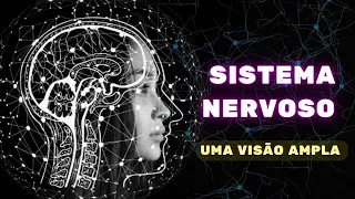 Sistema Nervoso (uma visão ampla) - Fisiologia Humana