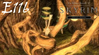 Restoring Order - Investigating Solitude Sewers Skyrim Episode 116