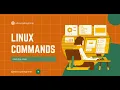 linux commands touch cat echo - working with files step-by-step devops