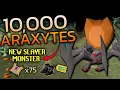 Aranea Boots Are 15M - Loot From 10 000 Araxytes